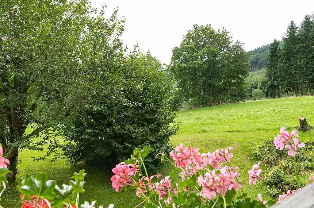 Gasthof & Landhotel Ohrnbachtal Weilbach 3*,