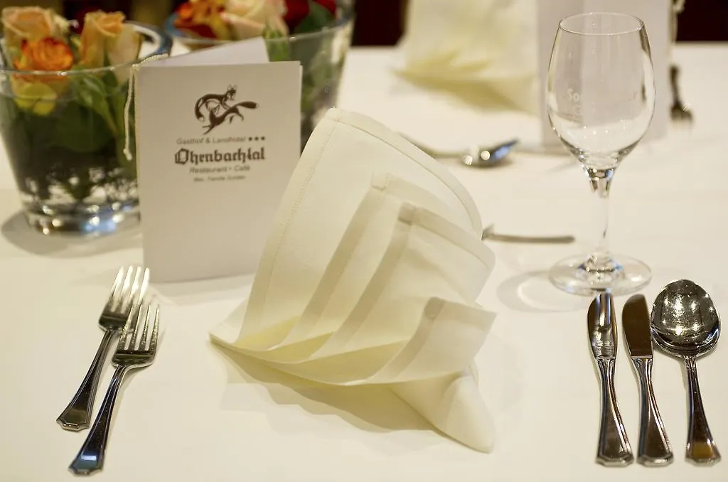 Gasthof & Landhotel Ohrnbachtal Weilbach 3*,  Germany