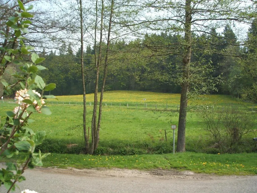 Gasthof & Landhotel Ohrnbachtal Weilbach Germany