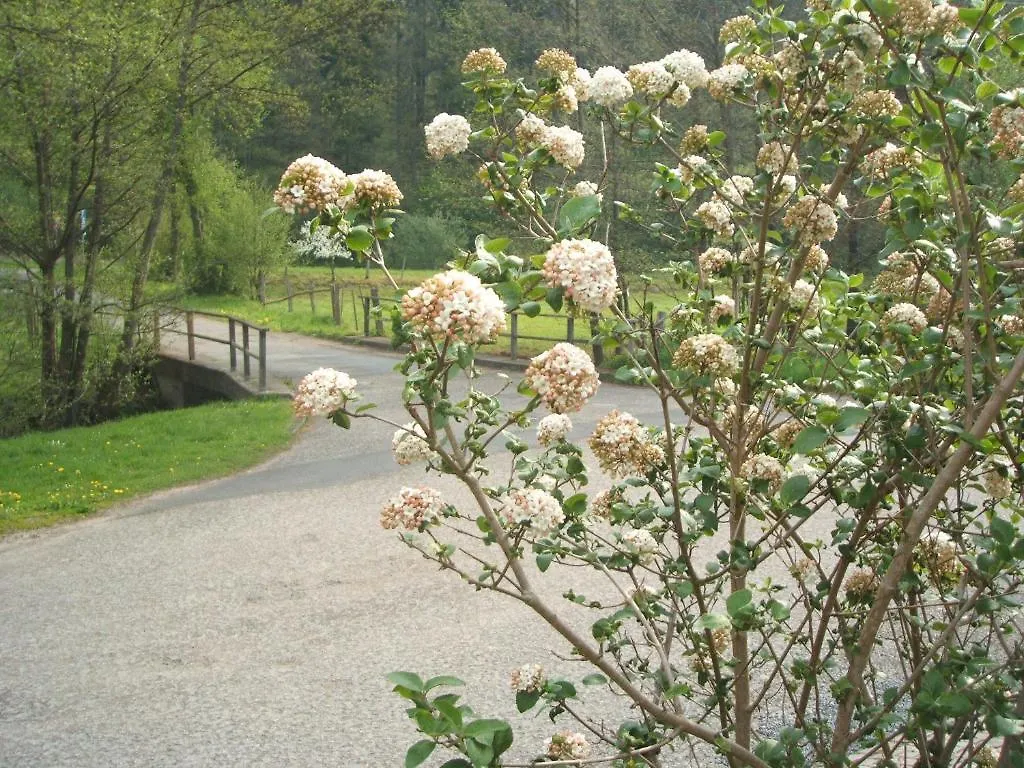 Gasthof & Landhotel Ohrnbachtal Weilbach 3*,  Germany